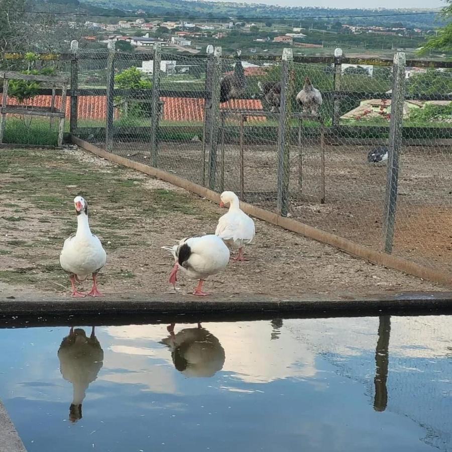 Monte Castelo Gravata Flat Encantador ภายนอก รูปภาพ